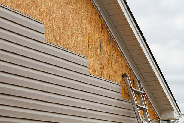 Professional Vinyl Siding technician working in Jackson, KY
